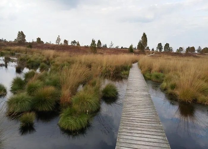 Maison Riviere Σπίτι διακοπών *