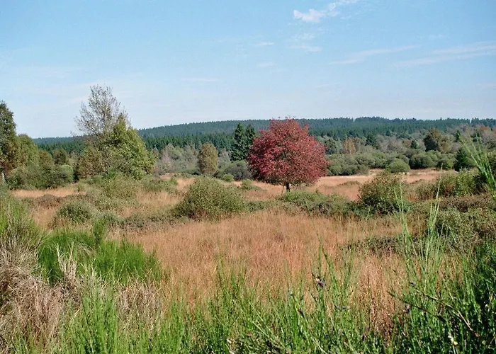 Maison Riviere * Μονσάου